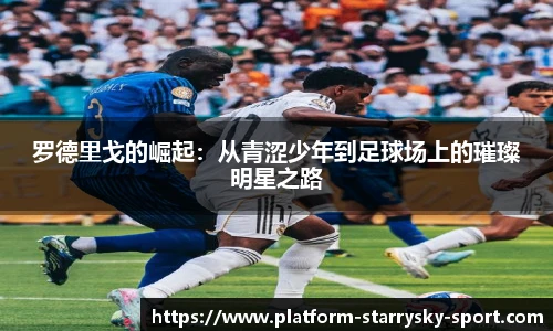 星空体育官网下载