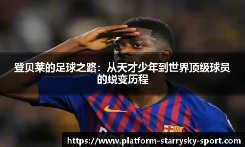 星空体育官网入口